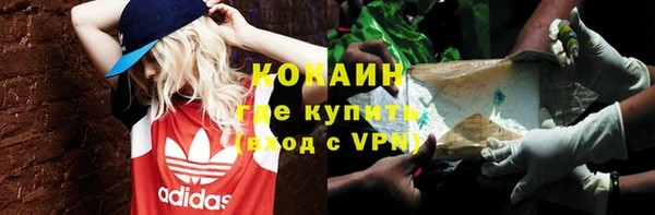 дживик Арсеньев