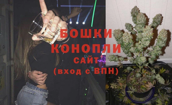 дживик Арсеньев